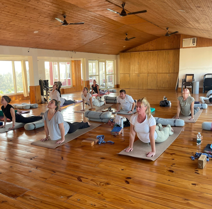 Why Authentic Yoga Cannot Be Learned from Social Media Alone